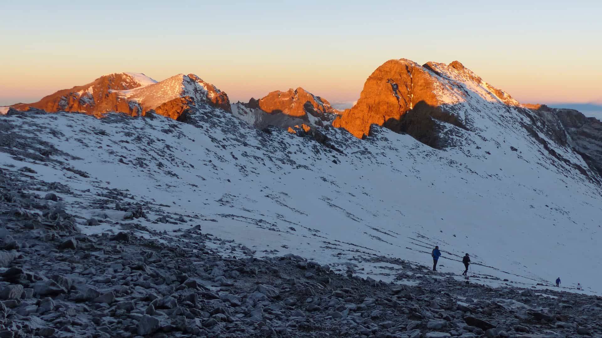 Pension & Retirement Advice